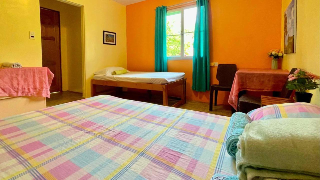 Blue Moon Guesthouse Puerto Princesa Kültér fotó