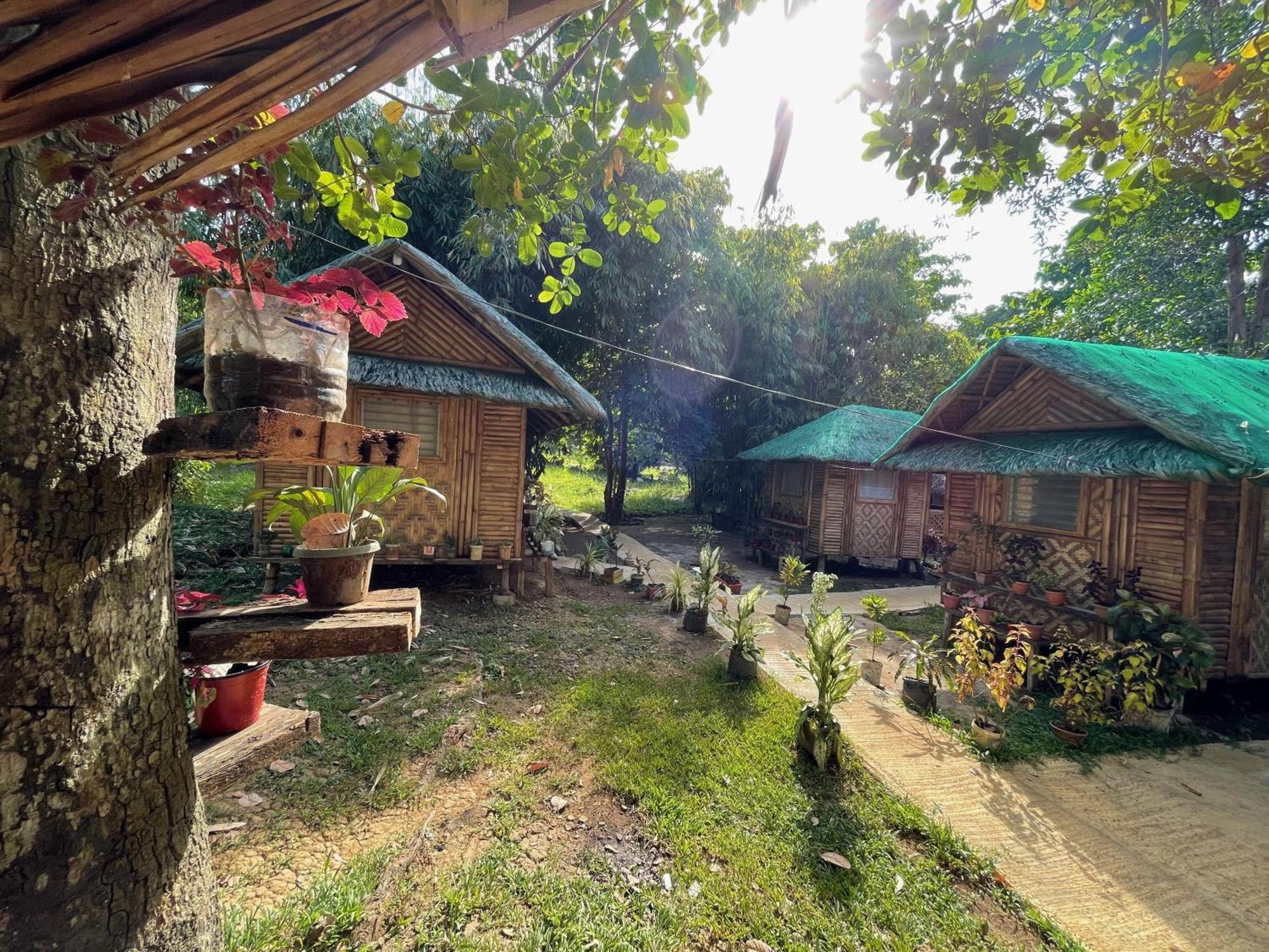 Blue Moon Guesthouse Puerto Princesa Kültér fotó