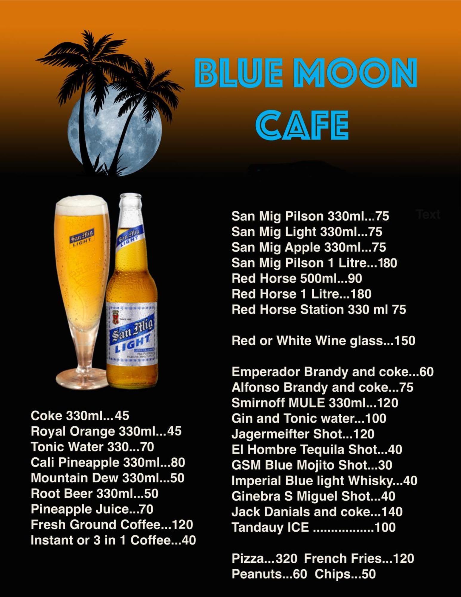 Blue Moon Guesthouse Puerto Princesa Kültér fotó